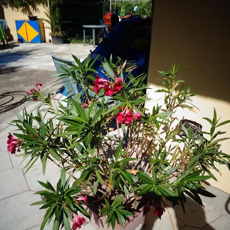 Apartmán Saltlake